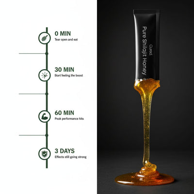 Pure Shilajit Honey Stick