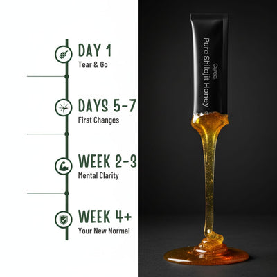 CURED® Shilajit Honey Sticks