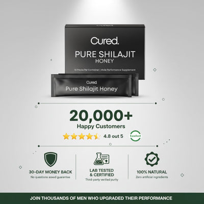 Pure Shilajit Honey Stick