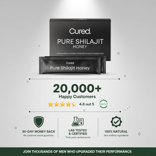 Pure Shilajit Honey Stick