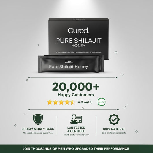 Pure Shilajit Honey Stick